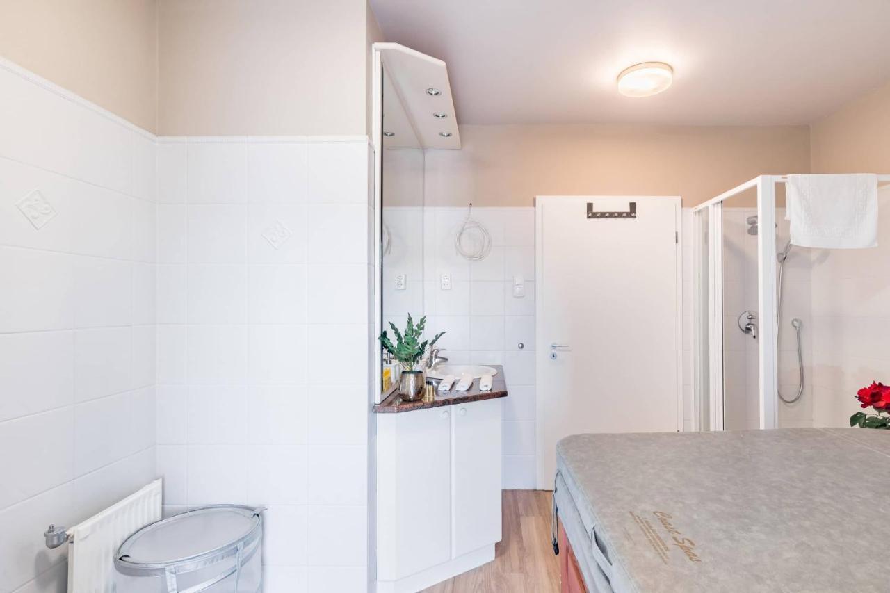 Sunny And Penthouse With Private Garage Apartament *