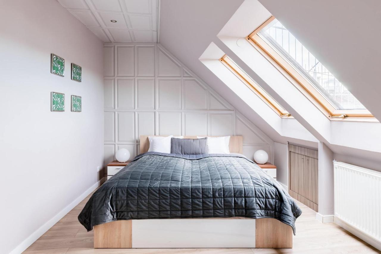 Sunny And Penthouse With Private Garage Apartament