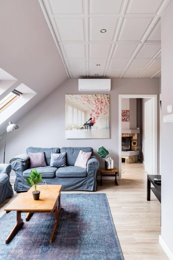 Sunny And Penthouse With Private Garage * Budapesta